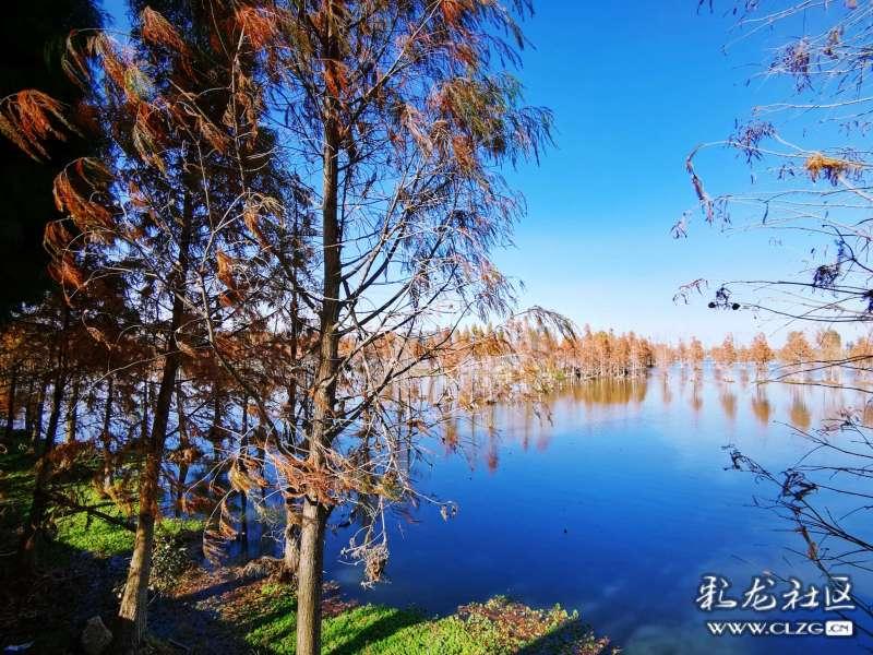水果益智对对碰